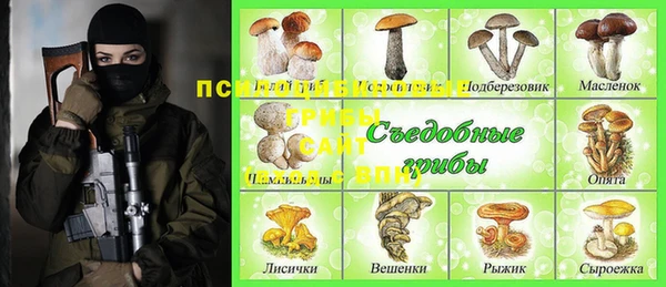 apvp Алексеевка