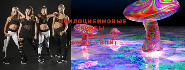 стафф Алексин