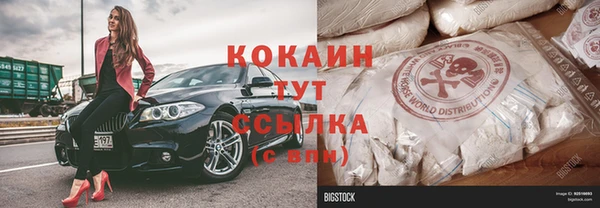 стафф Алексин