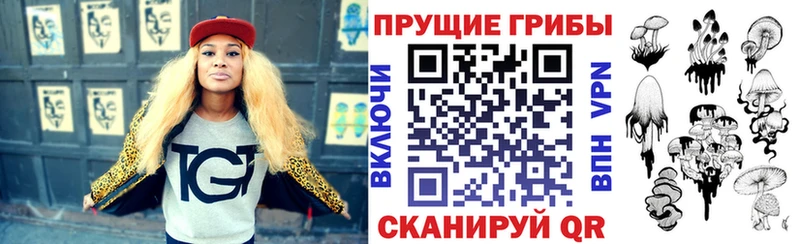 Псилоцибиновые грибы мицелий Мегион
